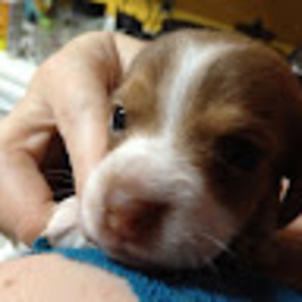 Meet your Posher, Michelle